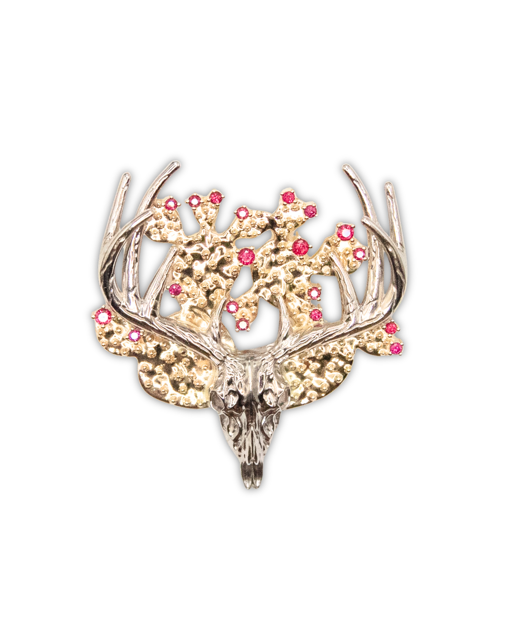 Texas Whitetail & Cactus