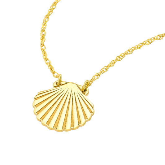 So You Seashell Necklace